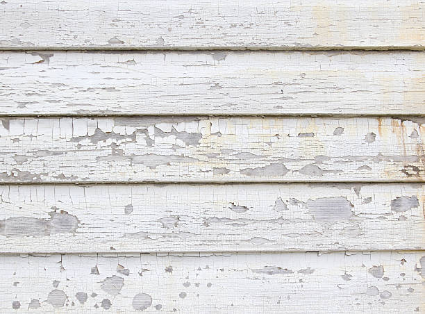 Best Steel Siding Installation  in Marysville, MI